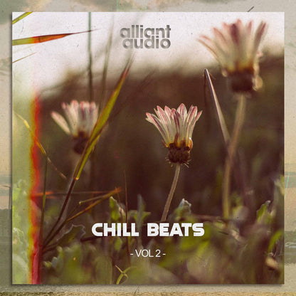 Alliant Audio, Chill Beats Vol.2, Sample Pack, Cover