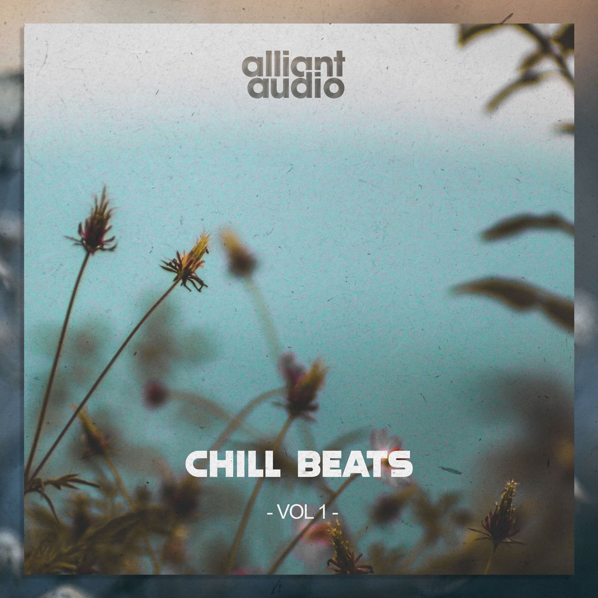 Alliant Audio, Chill Beats Vol. 1, Sample Pack, Cover